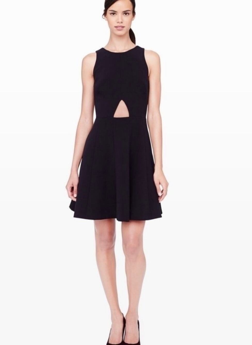 Club Monaco Black Lily Sleeveless Cut Out Fit & Flare Mini Dress - Size 4